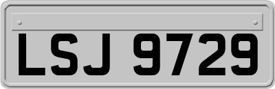 LSJ9729