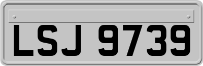 LSJ9739
