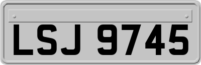 LSJ9745