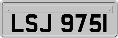 LSJ9751