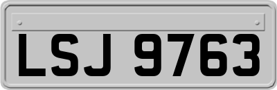 LSJ9763
