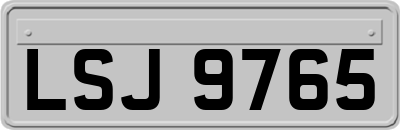 LSJ9765
