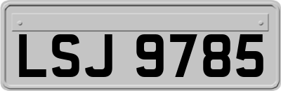 LSJ9785