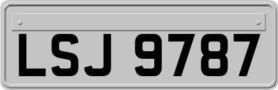 LSJ9787