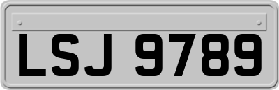 LSJ9789