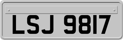 LSJ9817