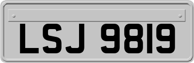 LSJ9819