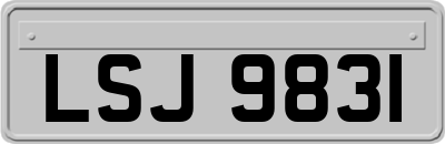 LSJ9831