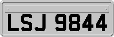 LSJ9844