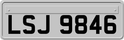 LSJ9846