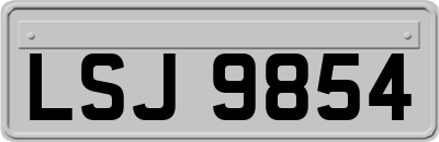 LSJ9854