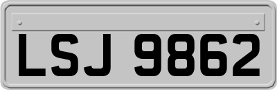 LSJ9862