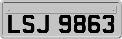 LSJ9863