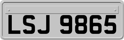 LSJ9865