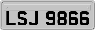 LSJ9866
