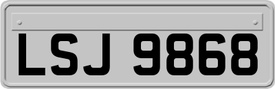 LSJ9868