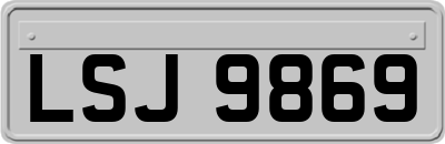 LSJ9869