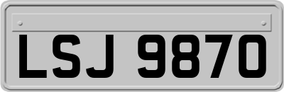 LSJ9870