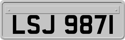 LSJ9871