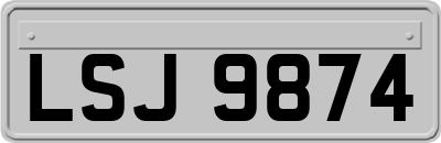 LSJ9874