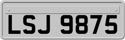 LSJ9875