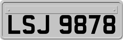 LSJ9878