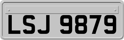 LSJ9879