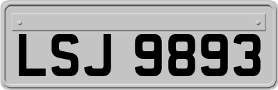 LSJ9893