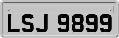 LSJ9899
