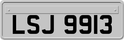 LSJ9913
