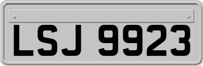 LSJ9923