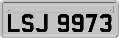 LSJ9973