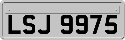 LSJ9975