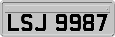 LSJ9987