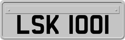 LSK1001