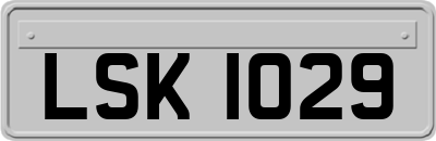 LSK1029