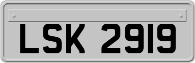 LSK2919