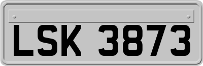 LSK3873