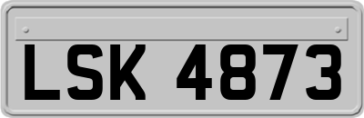 LSK4873