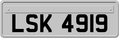 LSK4919