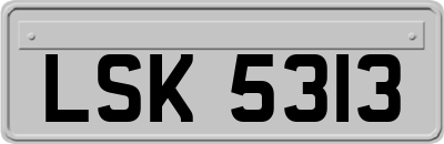 LSK5313