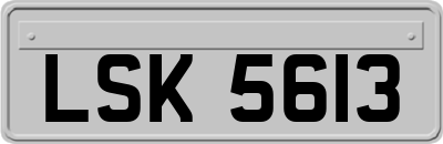 LSK5613