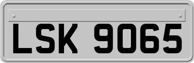 LSK9065