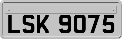 LSK9075