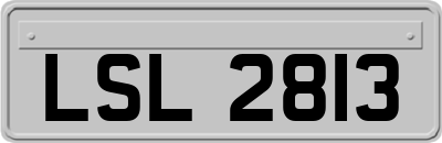 LSL2813
