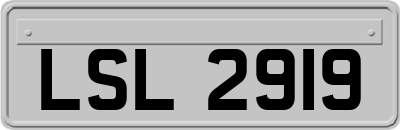 LSL2919