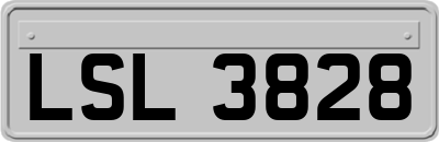 LSL3828