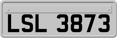 LSL3873