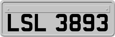 LSL3893