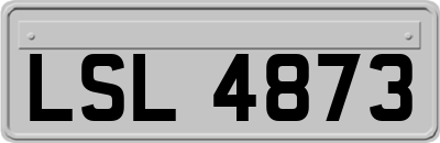 LSL4873